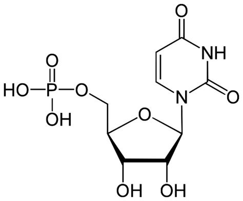 Nucleic Acid Monomer