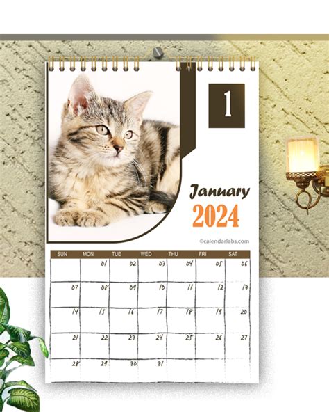 Doja Cat Calendar 2024 - Calendar 2024