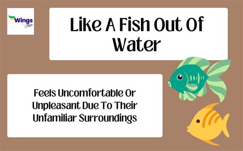 Like A Fish Out Of Water Idiom Meaning with Examples | Leverage Edu