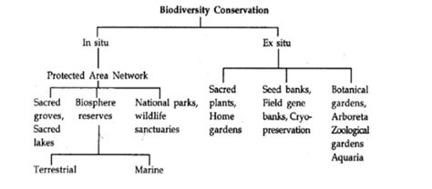 Biodiversity and Conservation: Type, Methods and Strategies