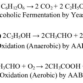 Recommendation Yeast Fermentation Equation Lyfe Support Blogspot