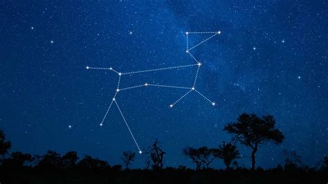 Canis Major Constellation: Stars, Mythology, How to Find | Canis Major ...