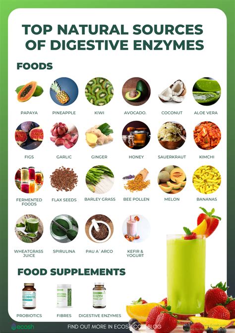 Digestive Enzymes