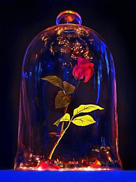 Download Beauty And The Beast Rose Blue Light Wallpaper | Wallpapers.com