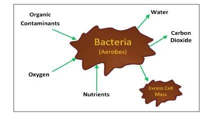 Aerobic Treatment principle (Mittal, 2011) | Download Scientific Diagram