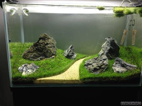 Simon's Aquascape Blog: Photo | Aquascape design, Aquarium fish tank ...