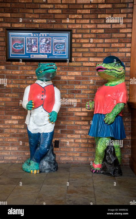 Albert gator hi-res stock photography and images - Alamy