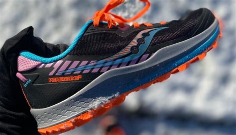 TEST: Saucony Peregrine 11 – Versatile shoe - Read more about the test ...