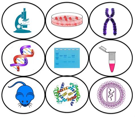 BL2309 – Applied Molecular Biology – School of Biology Students