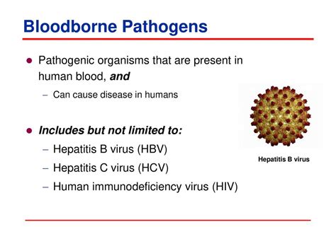 Bloodborne Pathogens. - ppt download - Clip Art Library