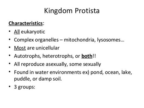 kingdom protista characteristics