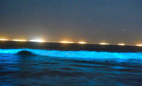 Rare bioluminescent, glowing waves show up off Southern California coast