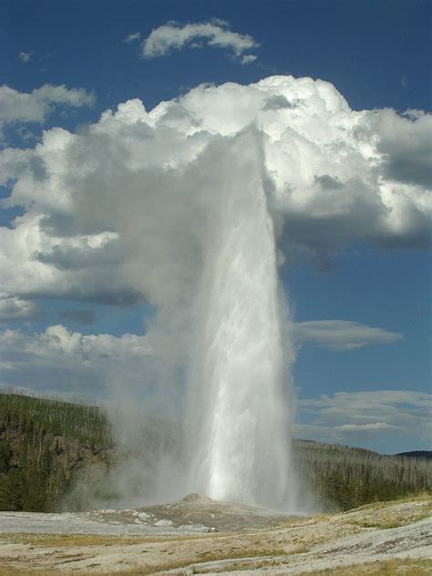 Old faithful geyser Free Photo Download | FreeImages