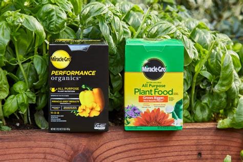 Plant Food for indoors and outdoors | Miracle-Gro | MiracleGro