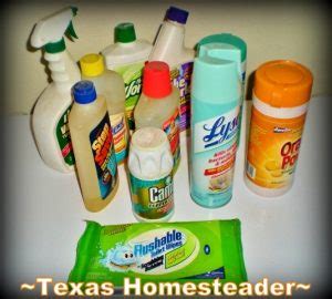 Chiggers: Fact, Fallacy & Crazy Remedies| ~ Texas Homesteader