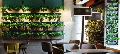 Floral Interior in Modern Cafe with Plants in Decoration Pots Stock ...