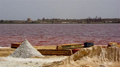 Pink Lake Retba in Senegal 2024-2025 - Rove.me