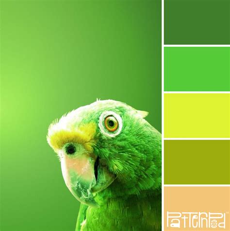 Parrot Greens #patternpod #patternpodcolor #color #colorpalettes ...