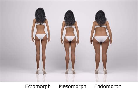 Woman Body Types : Complete Guide Body Type - Ectomorph, Mesomorph and ...