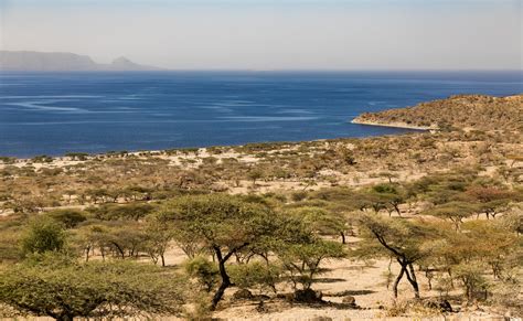 Rift Valley lakes (Ethiopia)