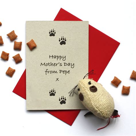 Personalised Mother's Day Card From The Cat By Adam Regester Design ...