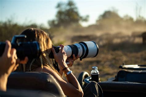 Photographic Safari on Private Game Drives| Wilderness