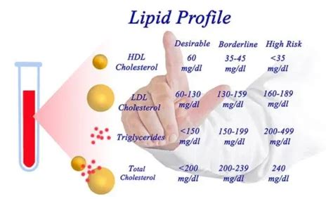 Lipid Profile Test or Lipid Panel | Elara Care