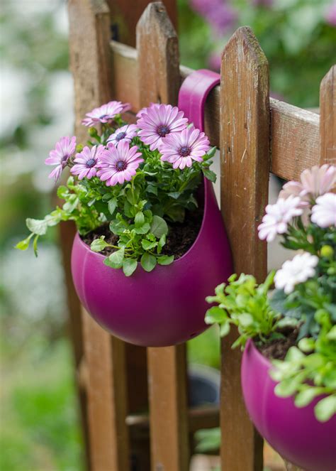 The best low maintenance plants for outdoor pots, and how to take care ...