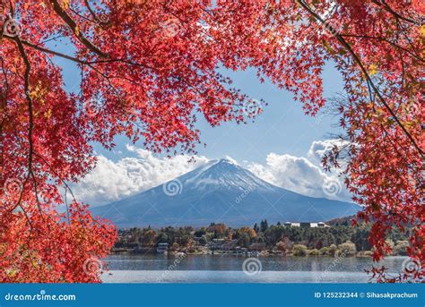 Autumn Season and Mountain Fuji at Lake Kawaguchiko Stock Photo - Image ...