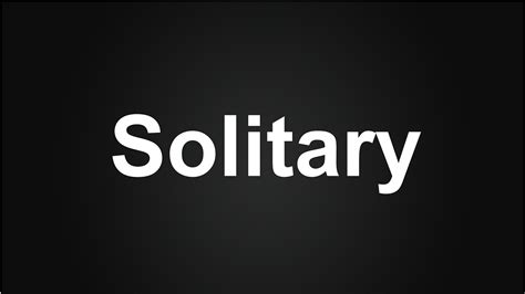 Solitary Meaning in Urdu, How to Say Solitary in English, Solitary ...