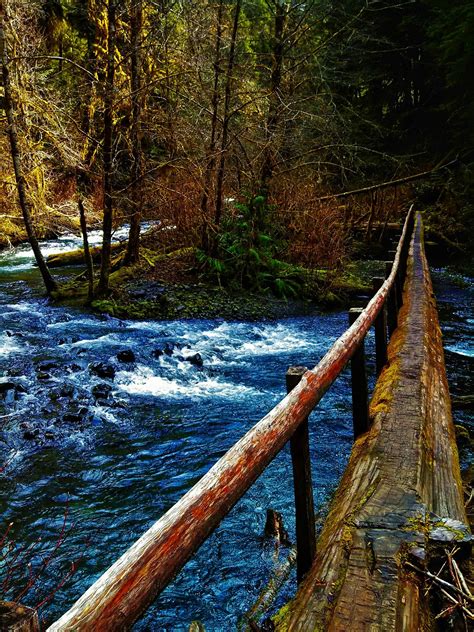 Olympic national forest [1944x2592] [OC] | Olympic national forest ...