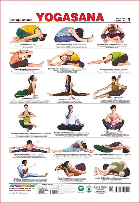 Stunning Collection of Yoga Asanas Images with Names - Over 999 Top ...