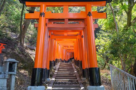 Fushimi Inari Taisha: Climbing Mt.Inari (2020) In Kyoto - Japan. Path ...