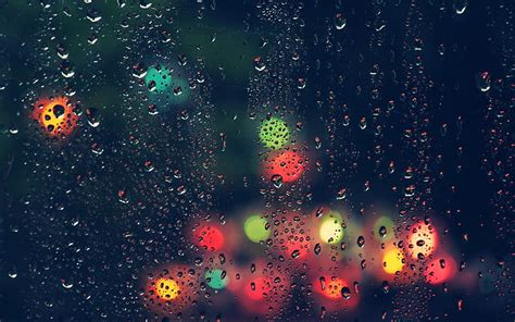 Free download | HD wallpaper: dew drops and multicolored lights ...