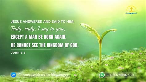 6 Important Bible Verses about Being Born Again