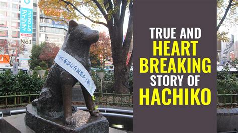 Hachiko Story – The True Story Of A Faithful Dog - Petmoo