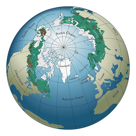 What Is The Taiga? - WorldAtlas