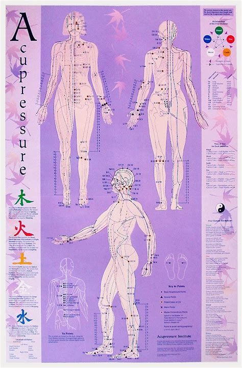 Accupressure Points | Acupressure points, Acupressure, Acupressure therapy