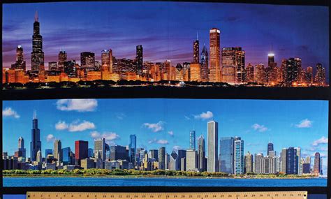 24.5" X 44" Panel View of Chicago Day and Night Cityscapes Skyline ...