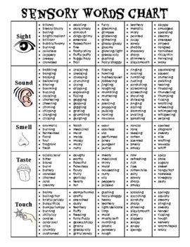 Sensory Words Chart - Five Senses by Cleanish Mom | TPT