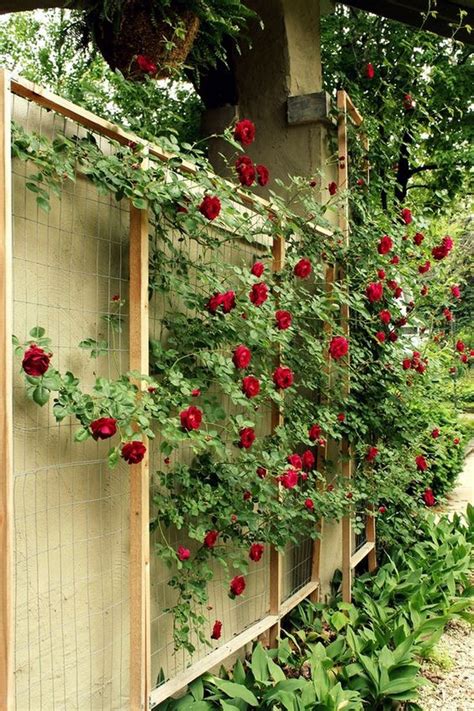 15 Creative And Easy DIY Trellis Ideas For Your Garden