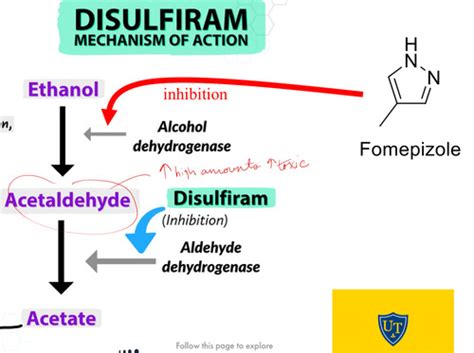 Alcohol Use Disorder Med Chem Flashcards | Quizlet