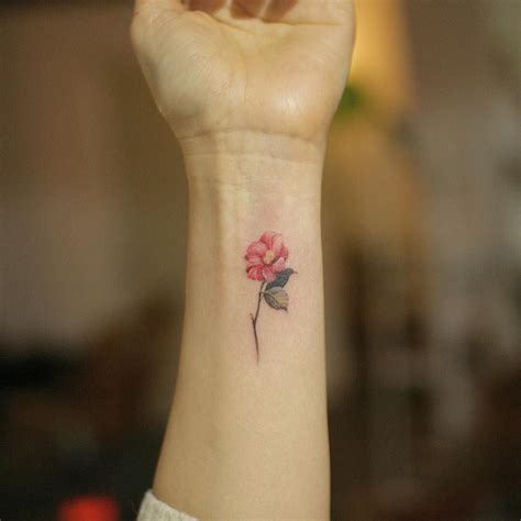 camellia 동백 | Tatuagens