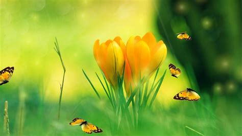 Spring Screensaver - Spring Charm Screensaver | Spring wallpaper ...