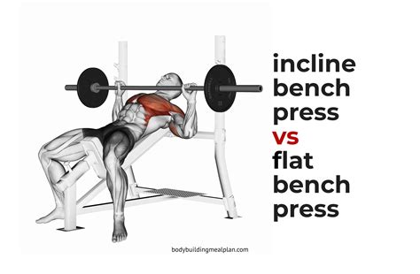 bench press muscles used - Cornelia Edmonds