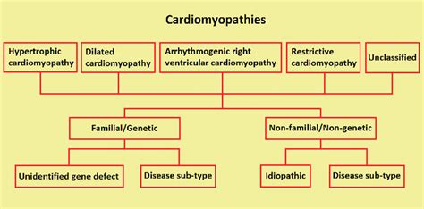 Classification of cardiomyopathies proposed by the European Society of ...