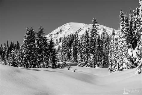 Winter Meadows, Paradise, Mount Rainier, Washington, 2017