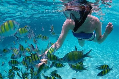 5 Best Snorkeling Spots in Cabo | At Los Cabos