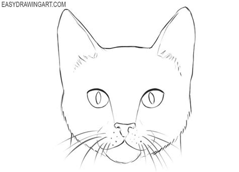 How to Draw a Cat Face | Easy Drawing Art | Cats art drawing, Cat face ...