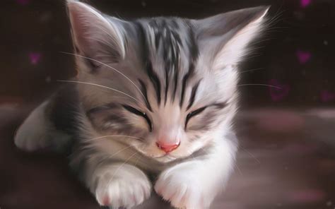 🔥 Free Download Cute Sleepy Kitten Computer Desktop Wallpaper Pictures ...